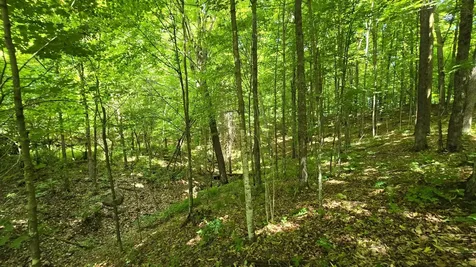 On Edison Road Antigo WI 54418