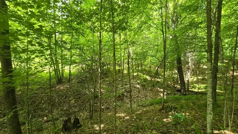 On Edison Road Antigo WI 54418