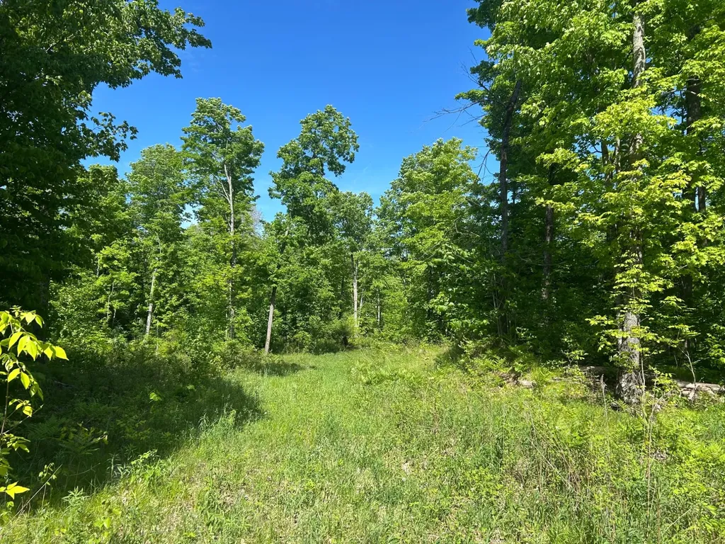 Lot 11 Cth G Pelican Lake WI 54463