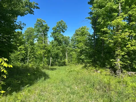 Lot 11 Cth G Pelican Lake WI 54463