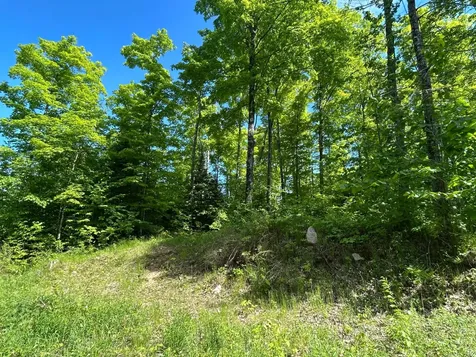 Lot 11 Cth G Pelican Lake WI 54463