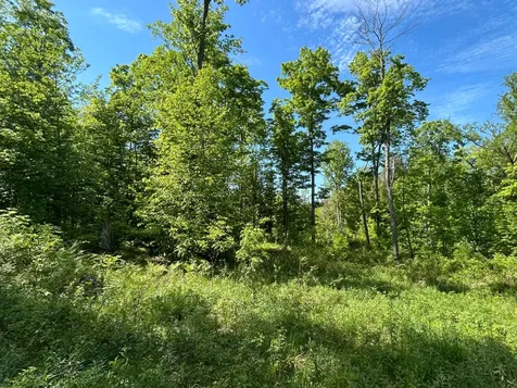 Lot 11 Cth G Pelican Lake WI 54463