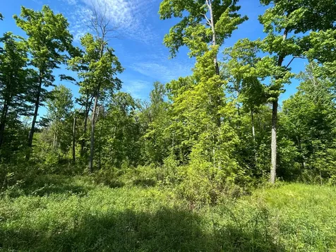 Lot 11 Cth G Pelican Lake WI 54463