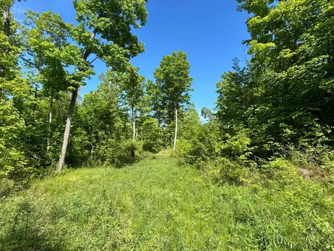 Lot 11 Cth G Pelican Lake WI 54463