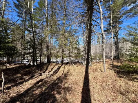 Tbd Highway 424 Crystal Falls MI 49920
