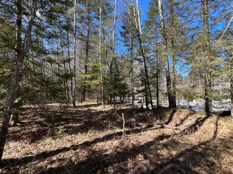 Tbd Highway 424 Crystal Falls MI 49920