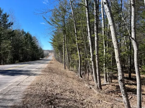 Tbd Highway 424 Crystal Falls MI 49920