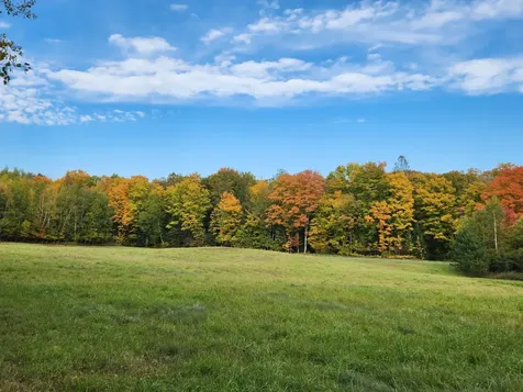 539 Macarthur Trail Wabeno WI 54466