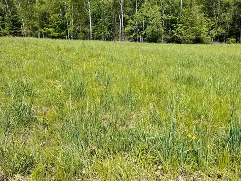 539 Macarthur Trail Wabeno WI 54466