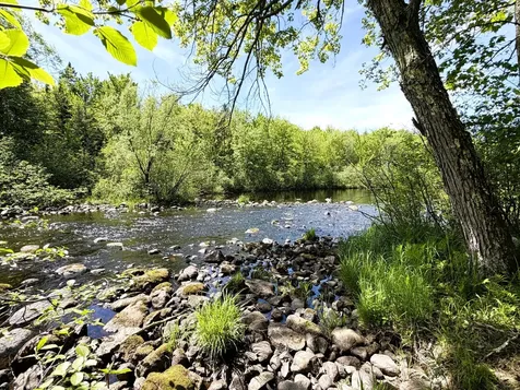 W6980 Dam Road Fifield WI 54524