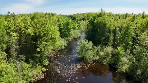 W6980 Dam Road Fifield WI 54524