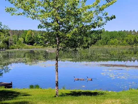 N11068 Pine Tree Lane Phillips WI 54555