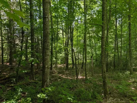 79308 Lewis Road Butternut WI 54514