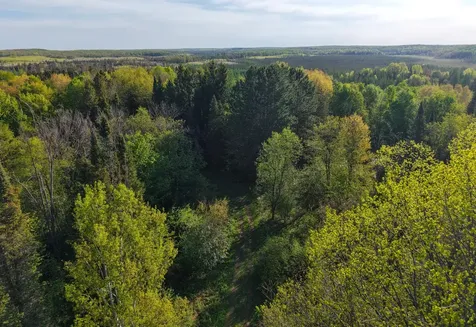79308 Lewis Road Butternut WI 54514