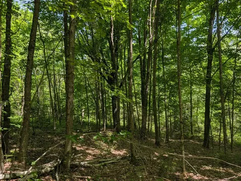 79308 Lewis Road Butternut WI 54514