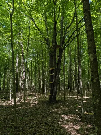 79308 Lewis Road Butternut WI 54514