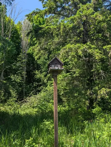 79308 Lewis Road Butternut WI 54514