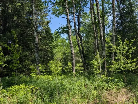 79308 Lewis Road Butternut WI 54514