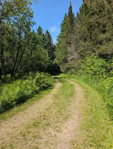 79308 Lewis Road Butternut WI 54514