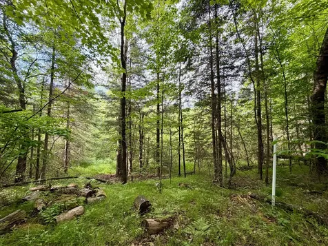 W14905 Parrish Road Gleason WI 54435