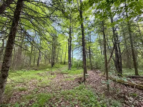 W14905 Parrish Road Gleason WI 54435