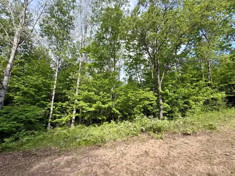 W14905 Parrish Road Gleason WI 54435