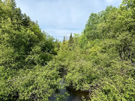 W14905 Parrish Road Gleason WI 54435