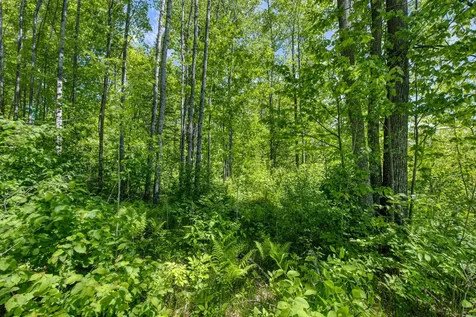 W10704 Popple Lane Pelican Lake WI 54463