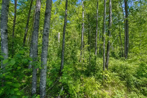 W10704 Popple Lane Pelican Lake WI 54463