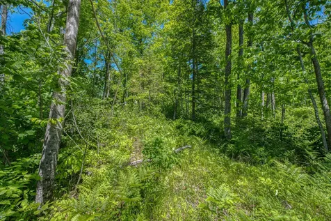 W10704 Popple Lane Pelican Lake WI 54463