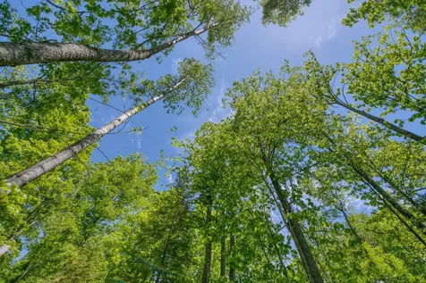W10704 Popple Lane Pelican Lake WI 54463