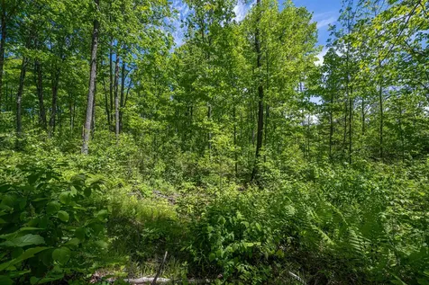 W10704 Popple Lane Pelican Lake WI 54463