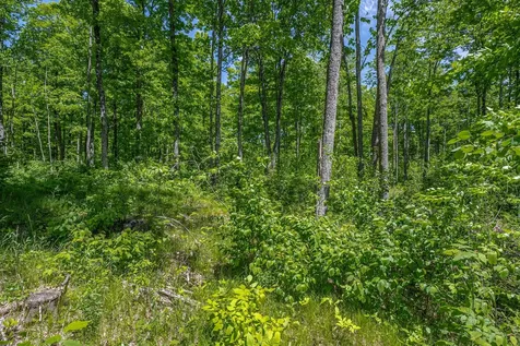 W10704 Popple Lane Pelican Lake WI 54463