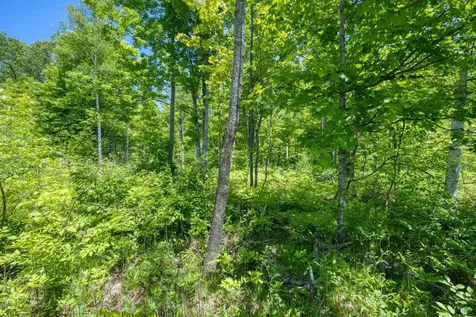 W10704 Popple Lane Pelican Lake WI 54463