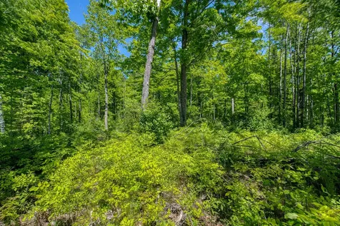 W10704 Popple Lane Pelican Lake WI 54463