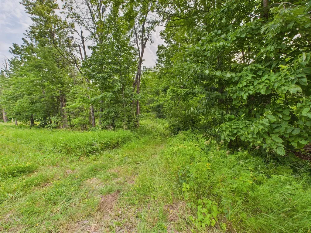 36.5 Ac Highway 139 Newald WI 54511