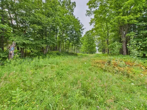 36.5 Ac Highway 139 Newald WI 54511
