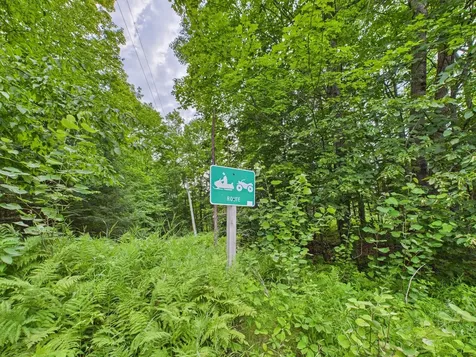 36.5 Ac Highway 139 Newald WI 54511