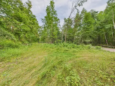 36.5 Ac Highway 139 Newald WI 54511