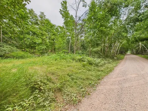 36.5 Ac Highway 139 Newald WI 54511