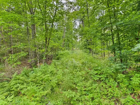 36.5 Ac Highway 139 Newald WI 54511