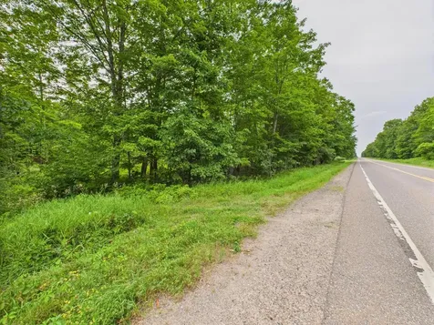 36.5 Ac Highway 139 Newald WI 54511