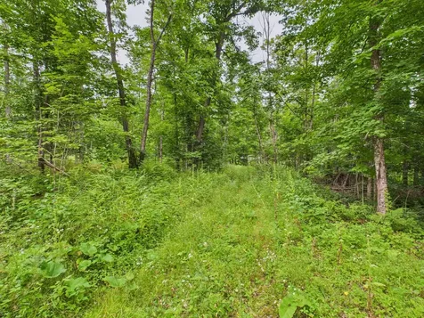 36.5 Ac Highway 139 Newald WI 54511