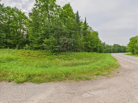 36.5 Ac Highway 139 Newald WI 54511