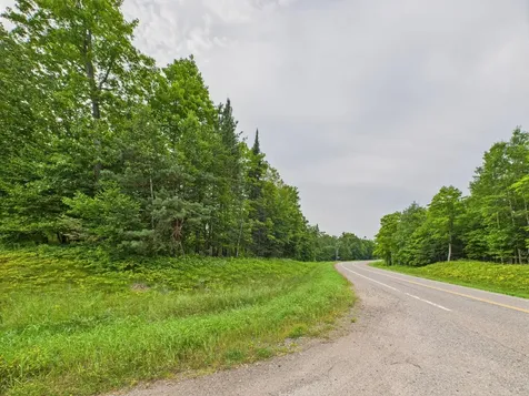 36.5 Ac Highway 139 Newald WI 54511