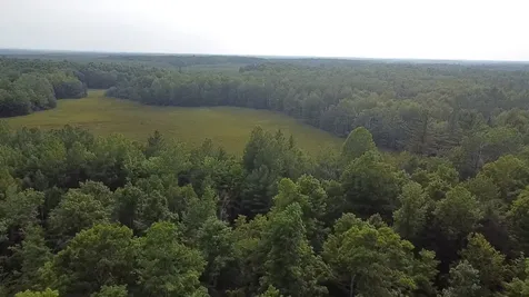 36.5 Ac Highway 139 Newald WI 54511