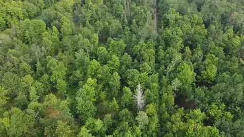 36.5 Ac Highway 139 Newald WI 54511