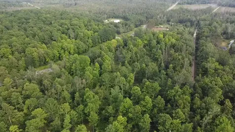 36.5 Ac Highway 139 Newald WI 54511