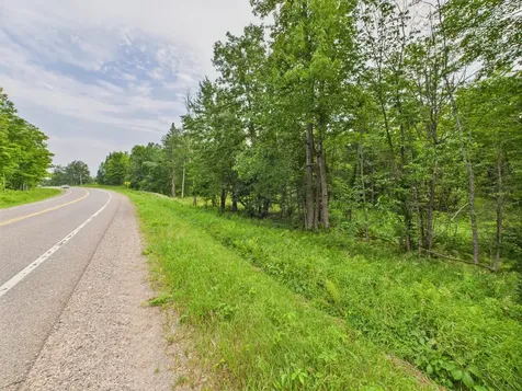 36.5 Ac Highway 139 Newald WI 54511