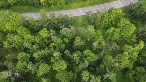 36.5 Ac Highway 139 Newald WI 54511
